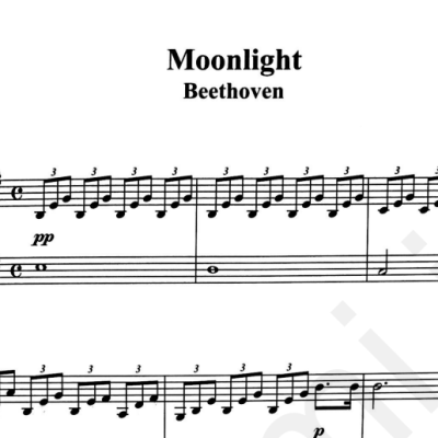 نت moon light