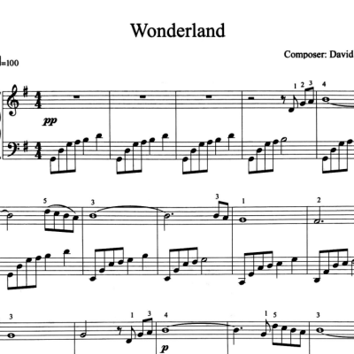 نت Wonderland