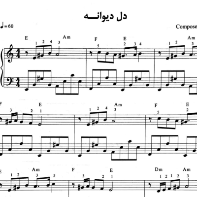 نت دل دیوانه