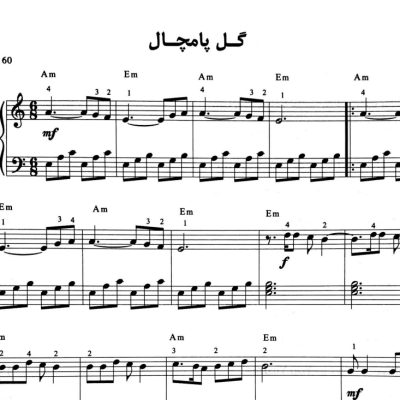 نت گل پامچال