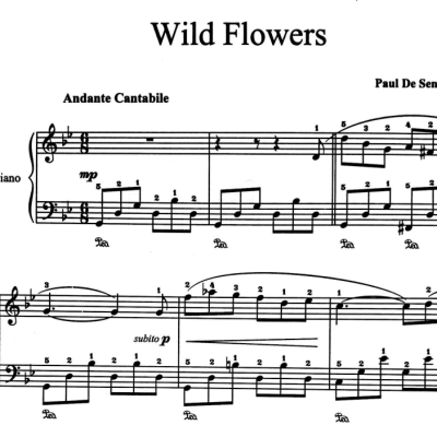 نت wild flowers