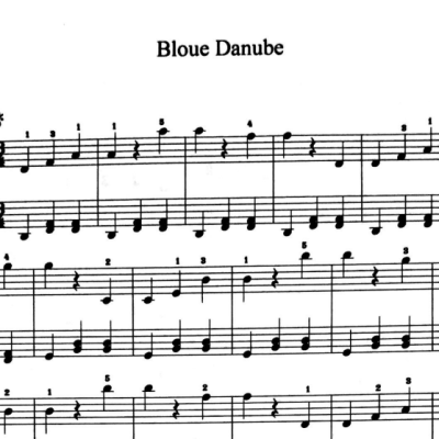 نت bloue danube