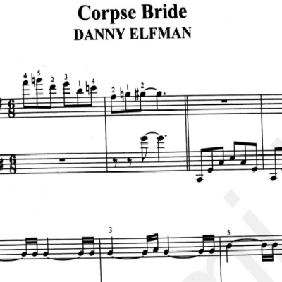 نت corpase bride
