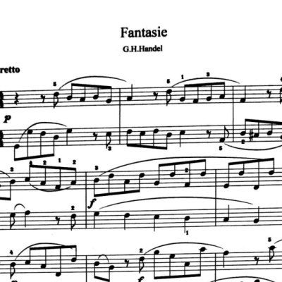 نت fantasie