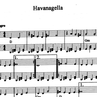 نت havanagella
