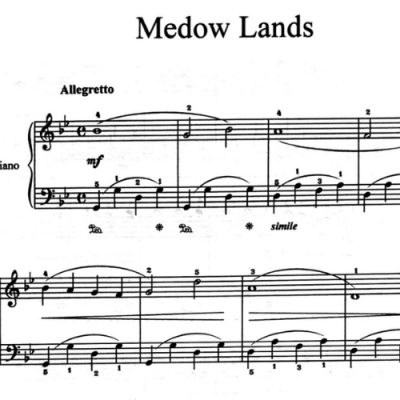 نت medow lands