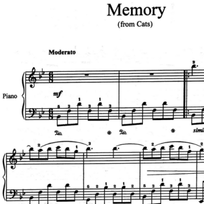 نت memory