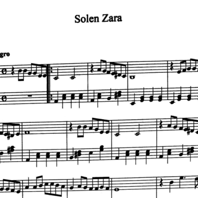 نت solen zara