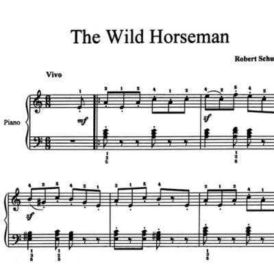 نت the wild horseman