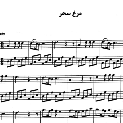 نت مرغ سحر